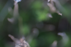 CZ_Ground_2