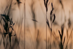 CZ_Ground_4