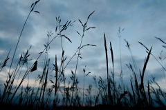 CZ_Ground_7