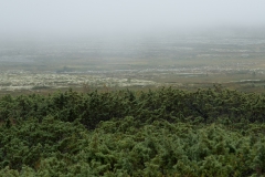 CZ_sinnsro_8