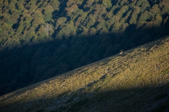 CZ_Rut_4