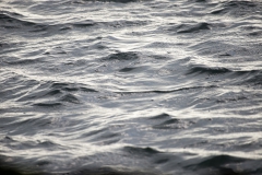CZ_Tide_10