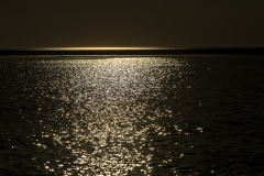 CZ_Tide_14