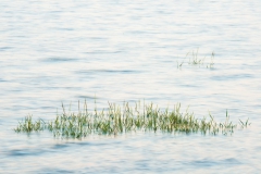 CZ_Tide_5